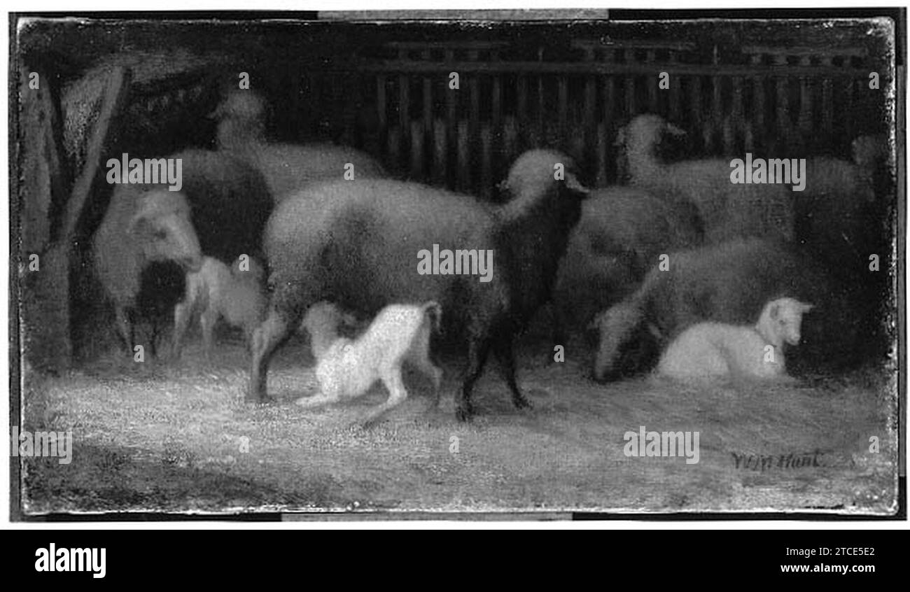 William Morris Hunt - Sheep Stock Photo