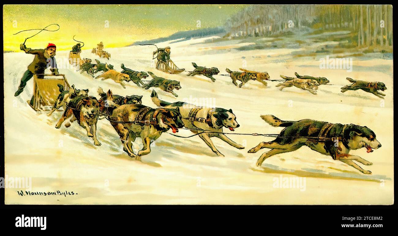 Canadian Dogsleigh Races - Vintage Cigarette Card Stock Photo - Alamy
