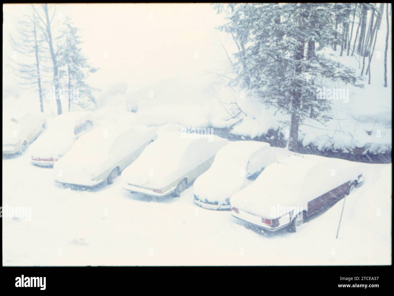 Winter GER, Aufnahme ca. 1966, eingeschneite Autos in den Alpen *** Winter GER, photo ca 1966, snow-covered cars in the Alps Credit: Imago/Alamy Live News Stock Photo