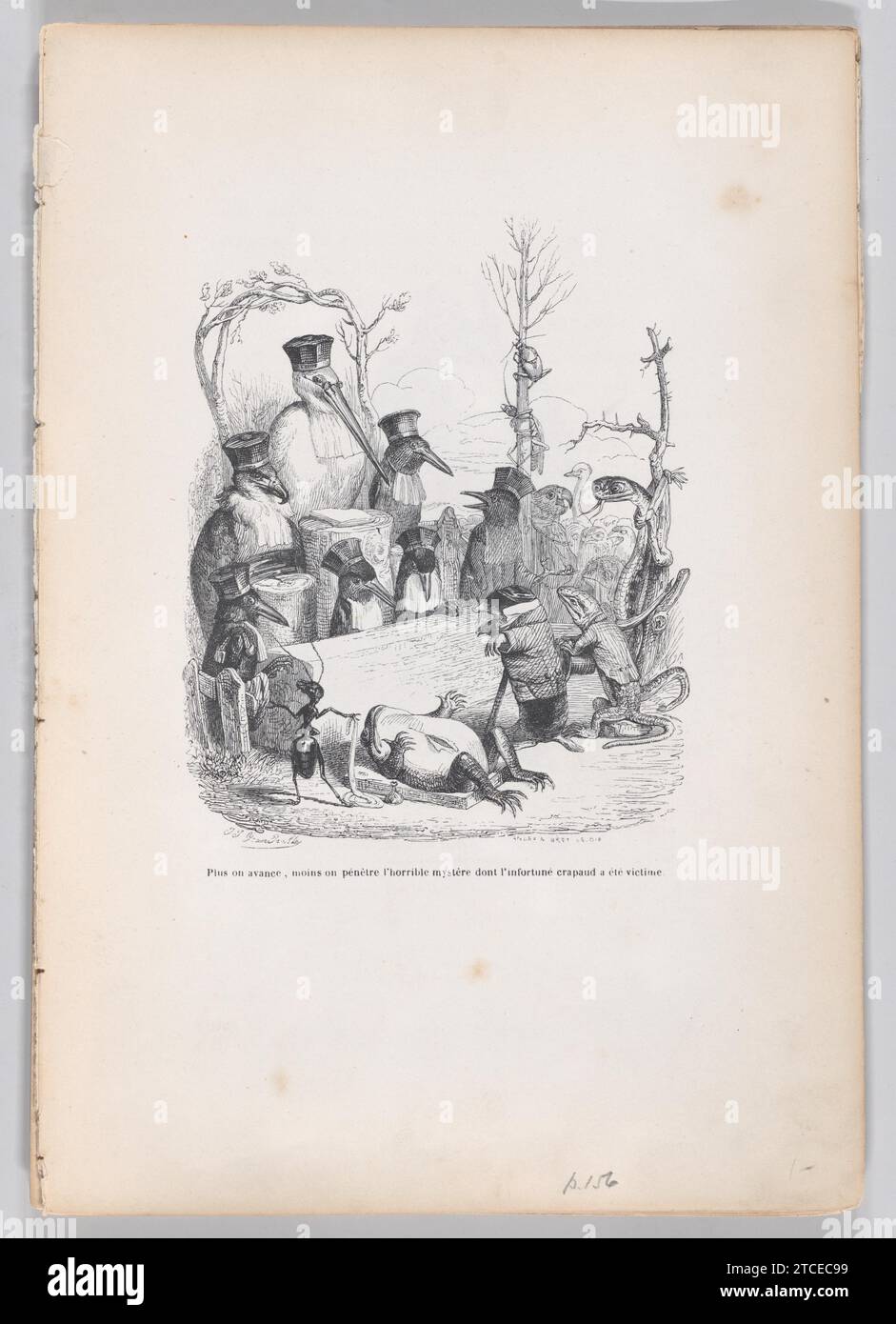 'The further we go, the less we penetrate the horrible mystery of which the unfortunate toad was a victim' from Scenes from the Private and Public Life of Animals  1959 by Honore de Balzac Stock Photo