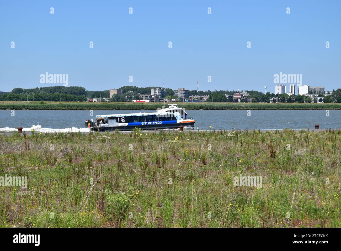 'Waterbus' boat of the Blue Amigo company providing public transport on the Schelde river in Antwerp Stock Photo