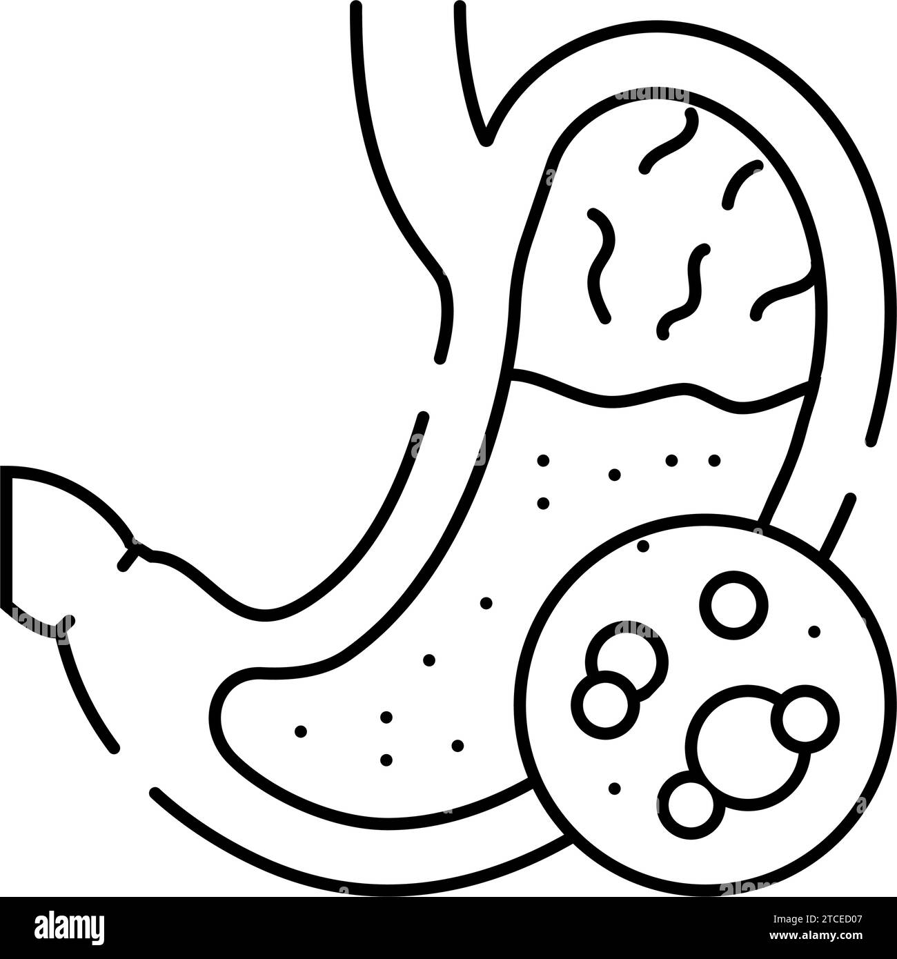 digestive enzymes gastroenterologist line icon vector illustration