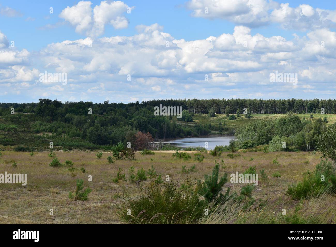 A lake in a small valley surrounded by trees and nature in the Mechelse Heide national park Stock Photo