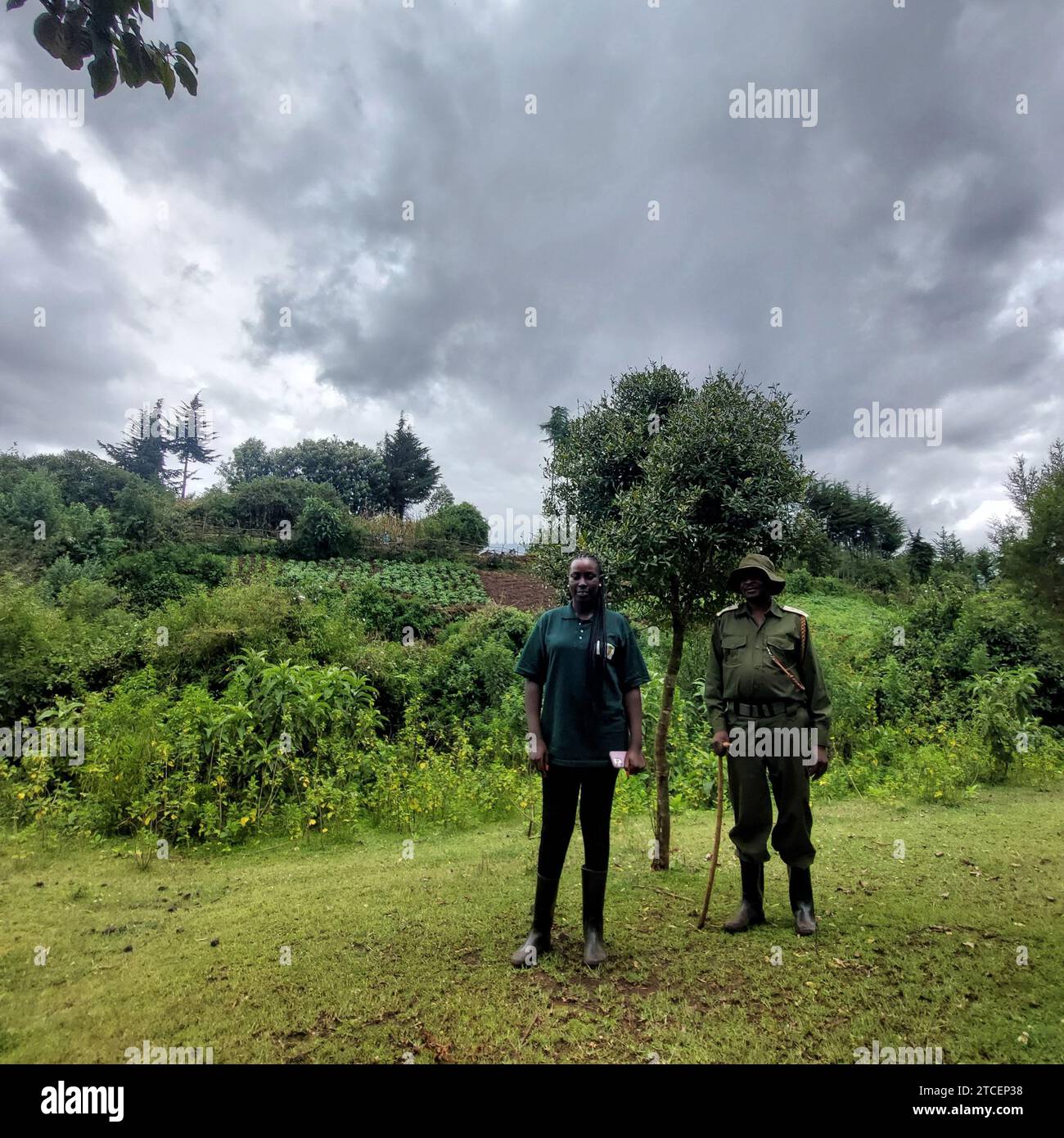 © PHOTOPQR/LE PARISIEN/Frédéric Mouchon ; forêt de Mau ; 07/11/2023 ; Hariette, membre du Green Belt Movement, se rend avec le responsable local du Kenya Forest Service de la forêt de Mau pour vérifier comment se portent les arbres qui ont été plantés sur cette parcelle qui avait subi des coupes rases. Environnement, le miracle kényan : avec l'énergie solaire, le saut dans la modernité de l'île de Ndeda Sur le lac Victoria (Kenya), l'île de Ndeda est passée depuis cinq ans du charbon de bois et de la lampe à pétrole à l'électricité d'origine solaire. Un saut dans la modernité pour ses 5 000 Stock Photo