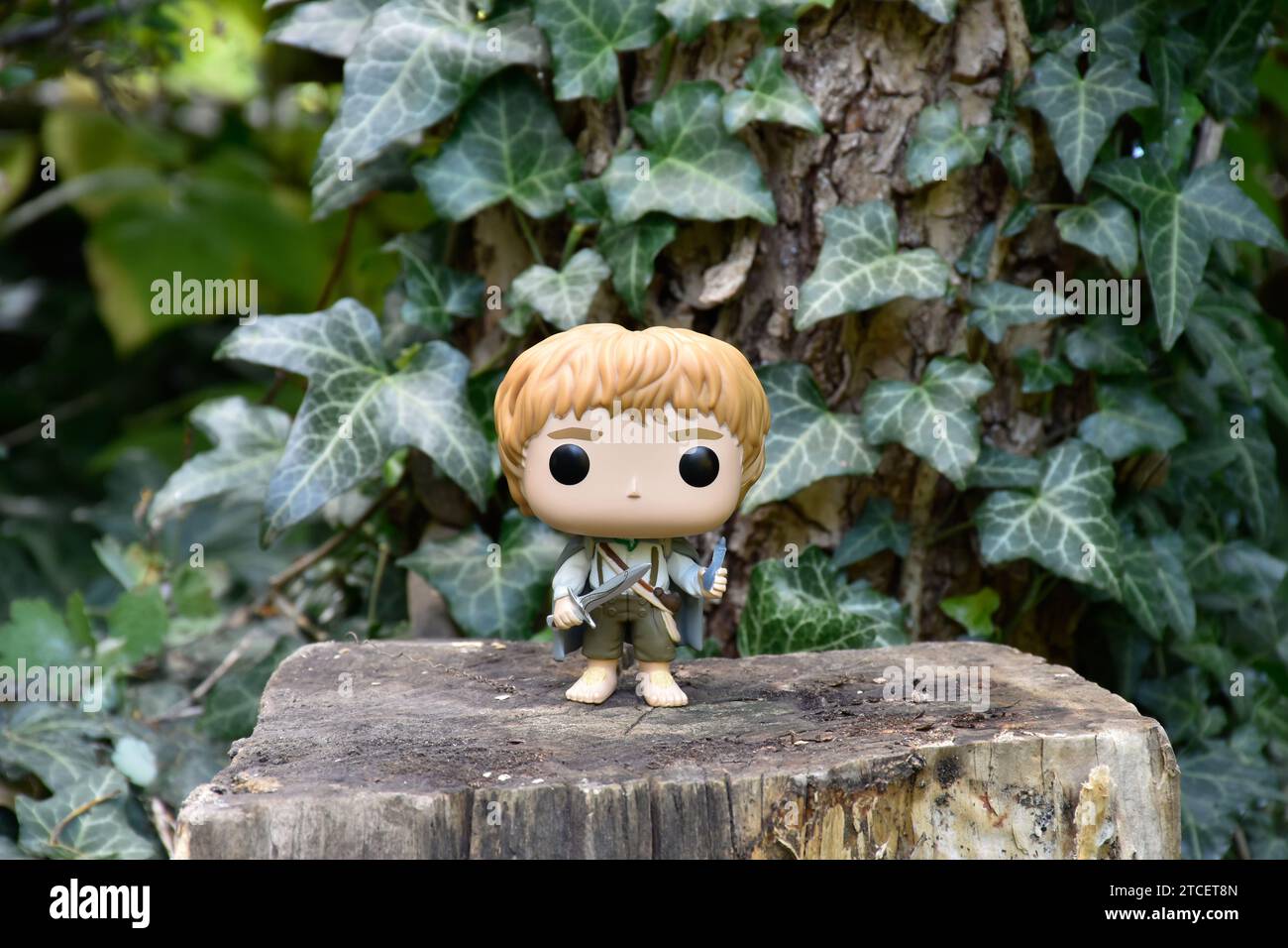 Funko Pop action figure of hobbit Sam with sword and phial's light from fantasy movie The Lord of the Rings. Forest, green ivy leaves, magic woodland. Stock Photo