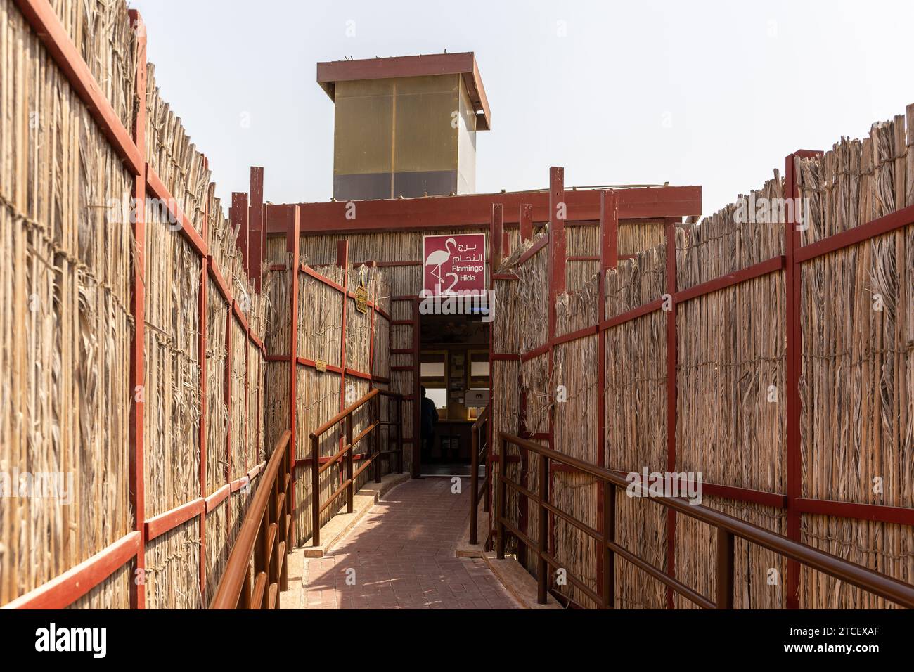 ras al khor wildlife sanctuary dubai
