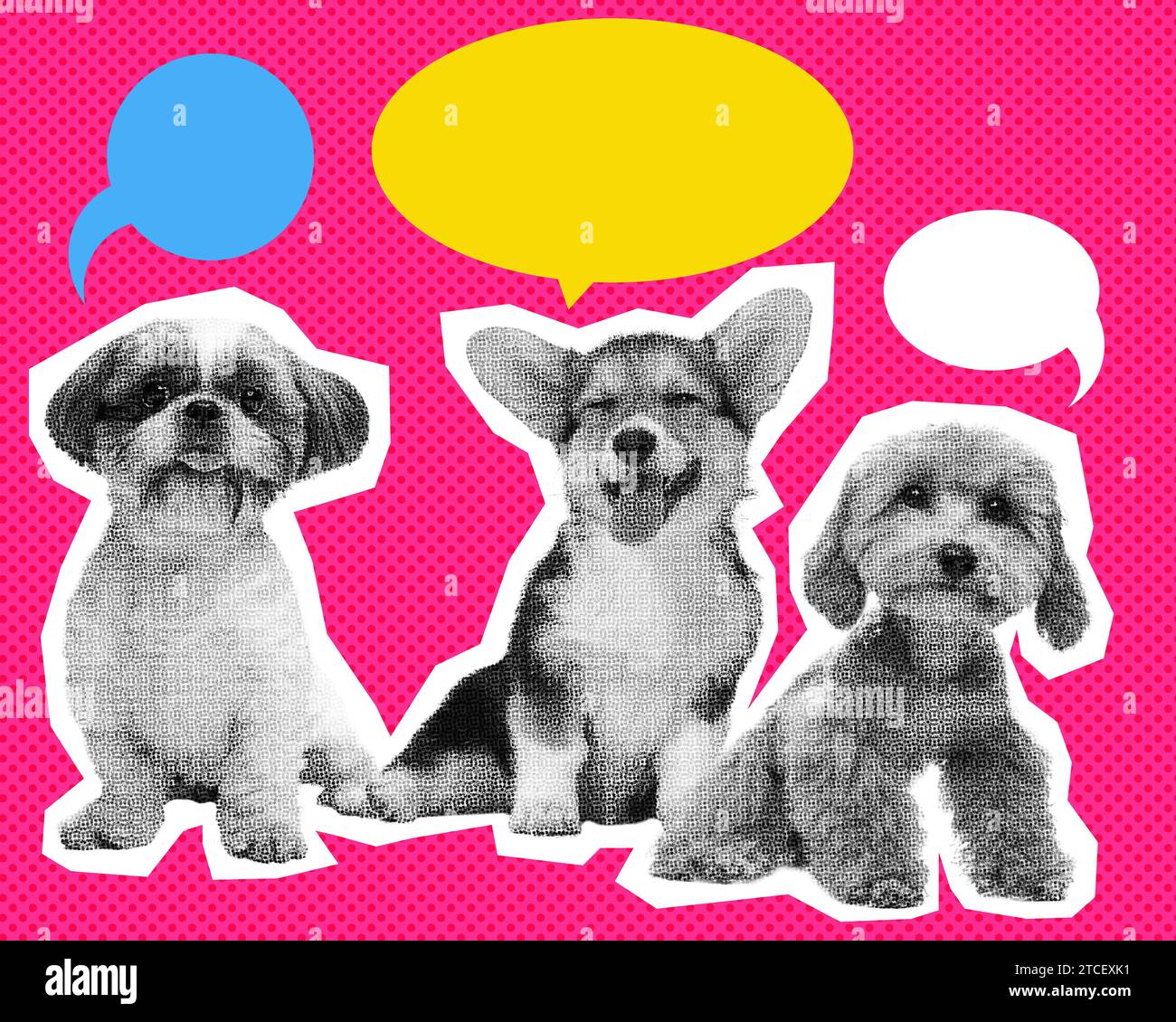 Cute, little, adorable puppies, dogs over pink background with speech