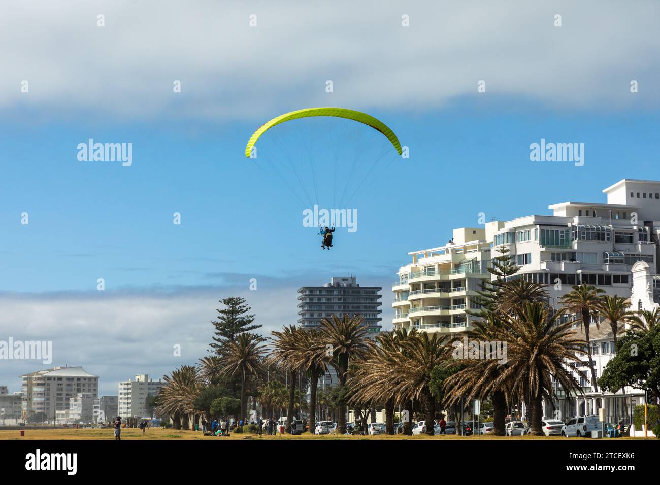 A paraglider prepares to land in a park near the popular promenade in Sea Point, Cape Town, South Africa. Stock Photo