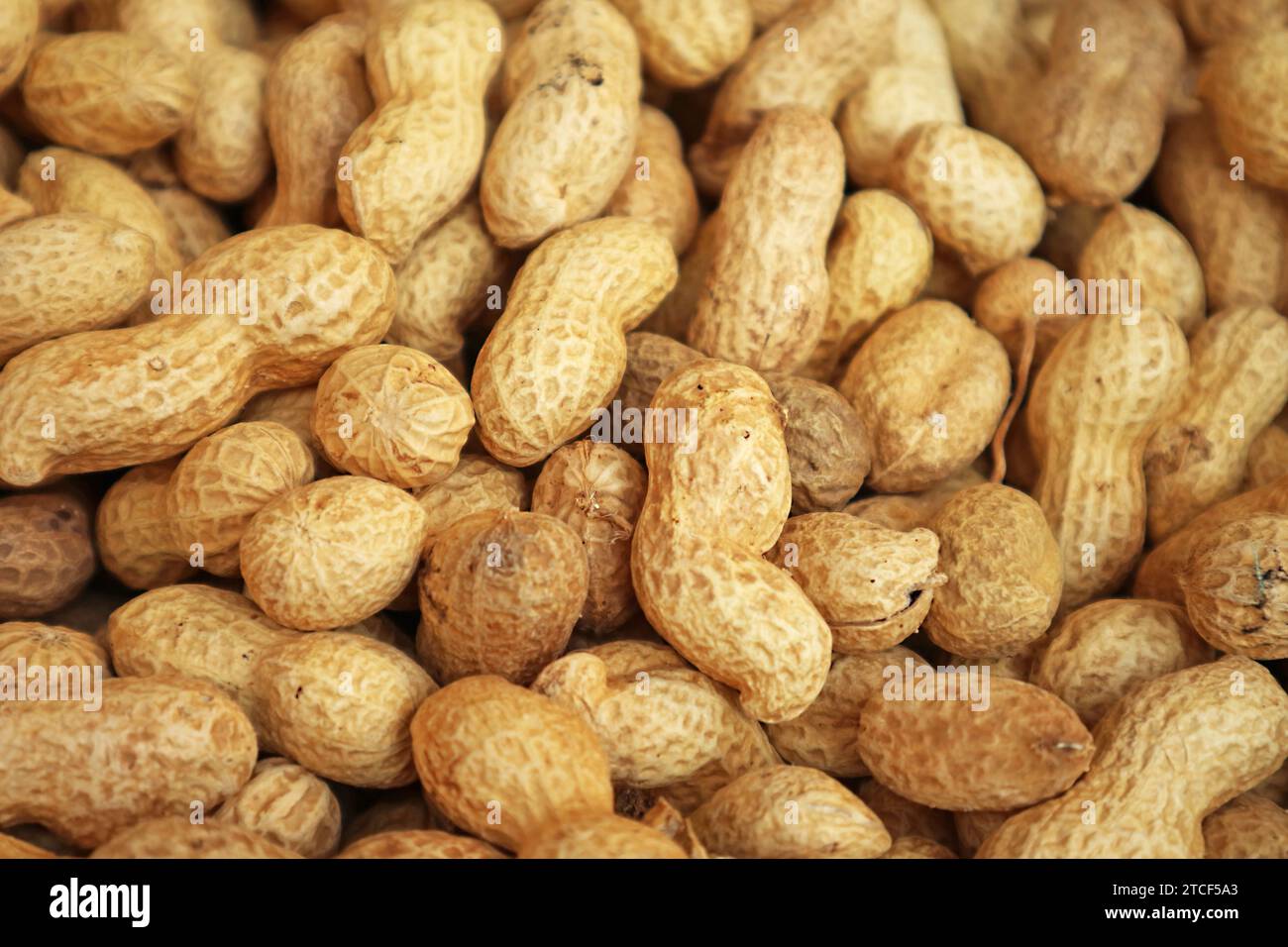 Pile of Dried Peanut for Sale in the Local Market or Souq of Manama