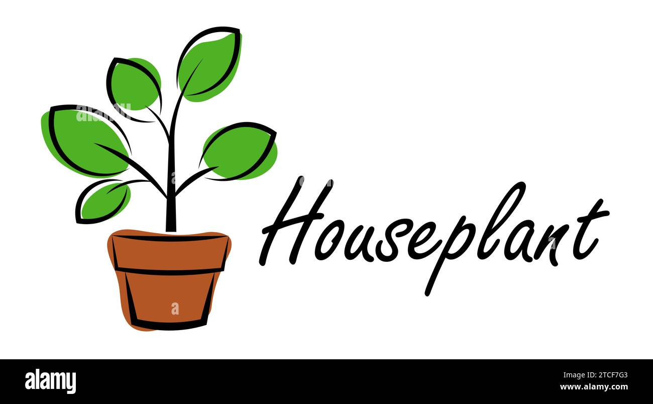 Indoor plants on a white background Stock Vector
