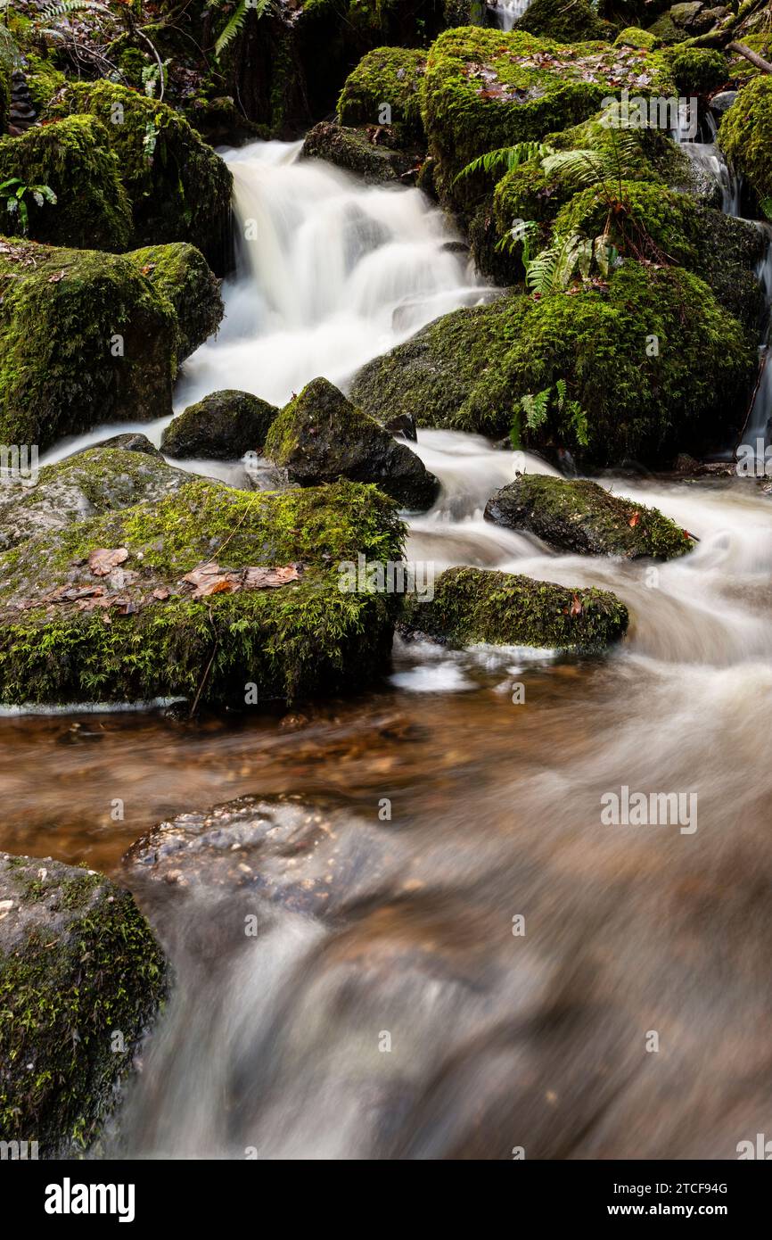 Cleddon Shoots or Waterfall, Wye Valley AONB, Monmouthshire, Wales Stock Photo