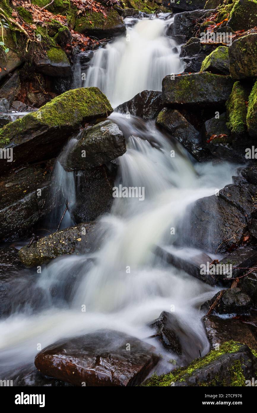 Cleddon Shoots or Waterfall, Wye Valley AONB, Monmouthshire, Wales Stock Photo