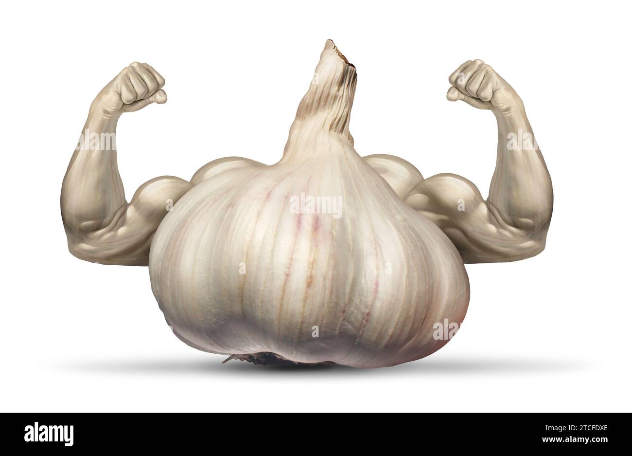 Garlic power concept as a flavorful medicinal healthy food ingredient