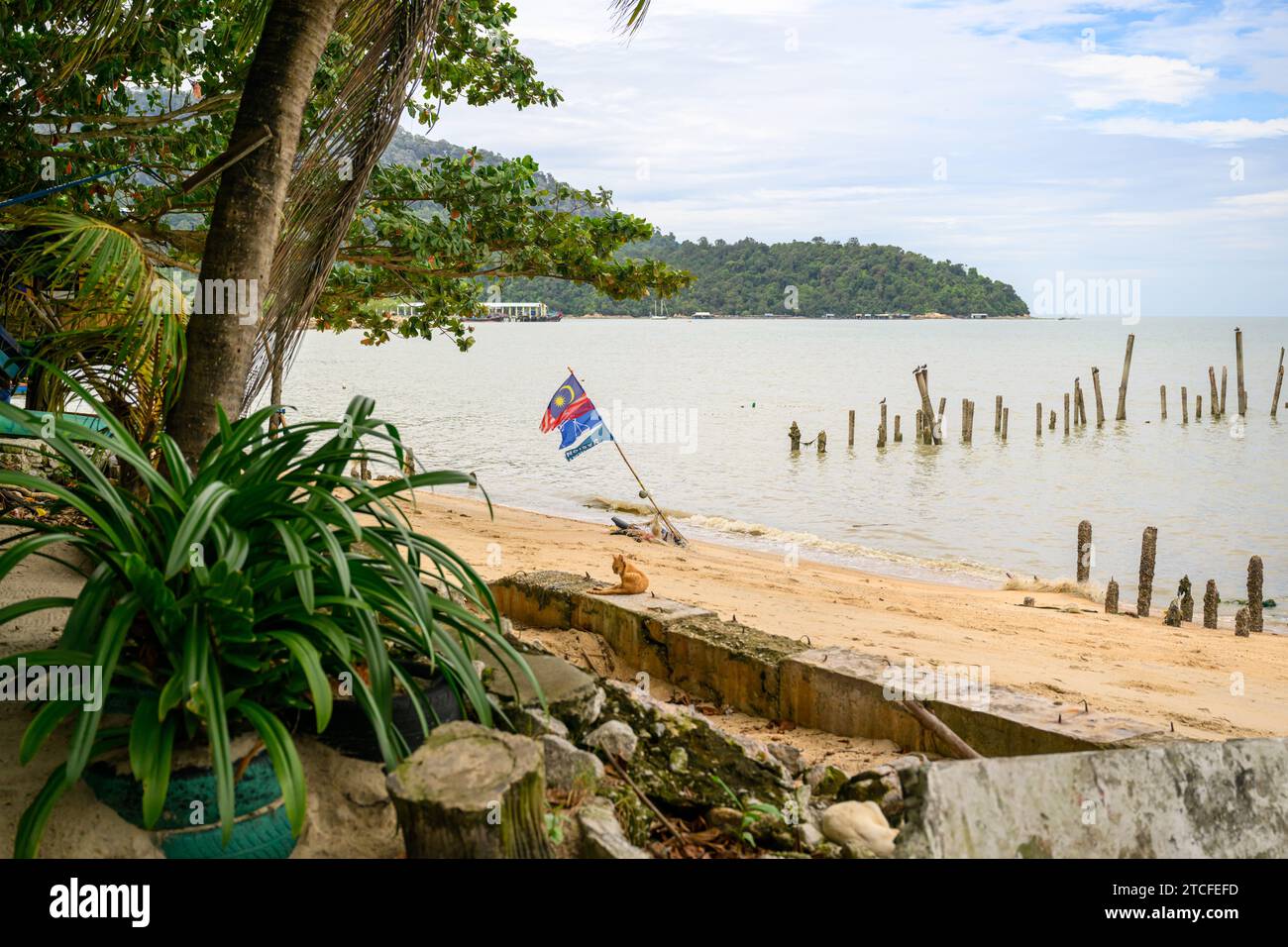 Cat Beach, Tanjung Bungah, Penang, Malaysia Stock Photo - Alamy