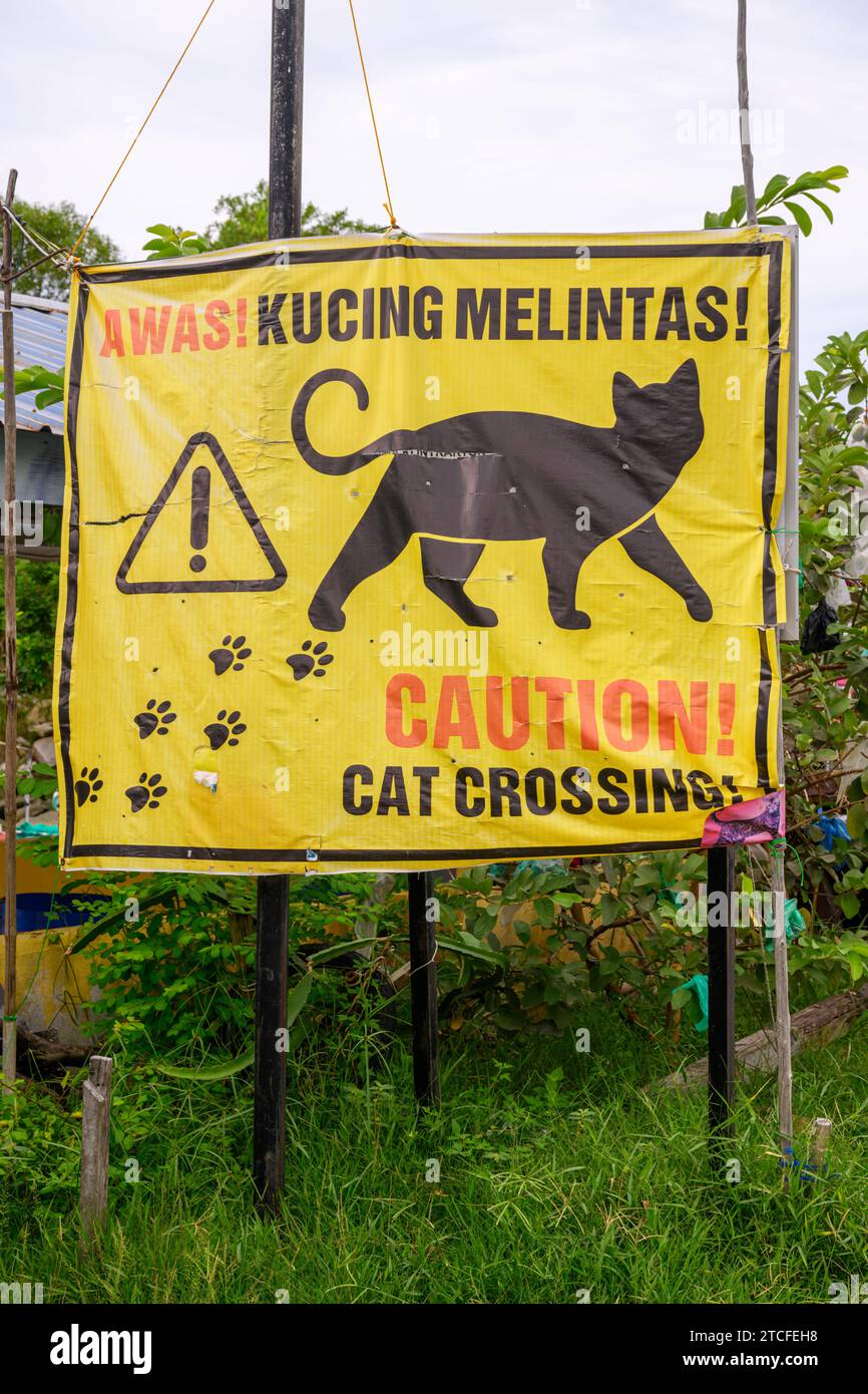 Caution cat crossing hi-res stock photography and images - Alamy