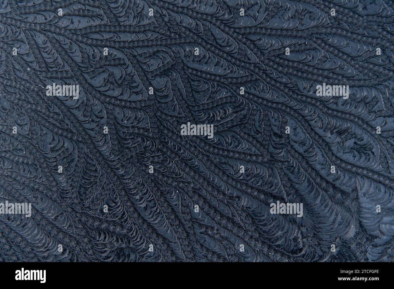 Frost patterns on car windscreen after a freezing cold night. Yorkshire, UK. Stock Photo