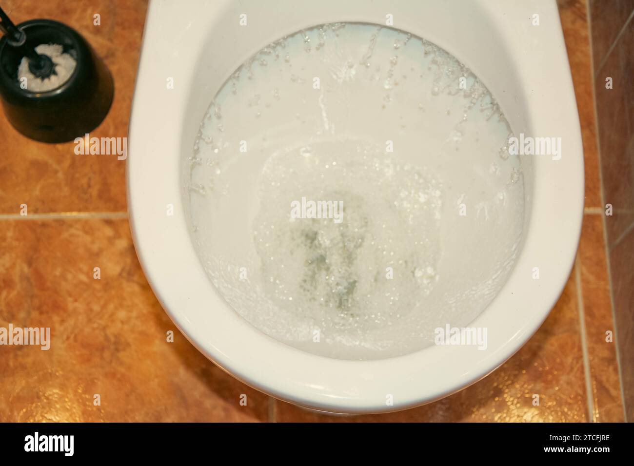 A person's hand flushing the toilet to depict a clean and hygienic practice for proper sanitation. Flushing is essential for maintaining cleanliness a Stock Photo
