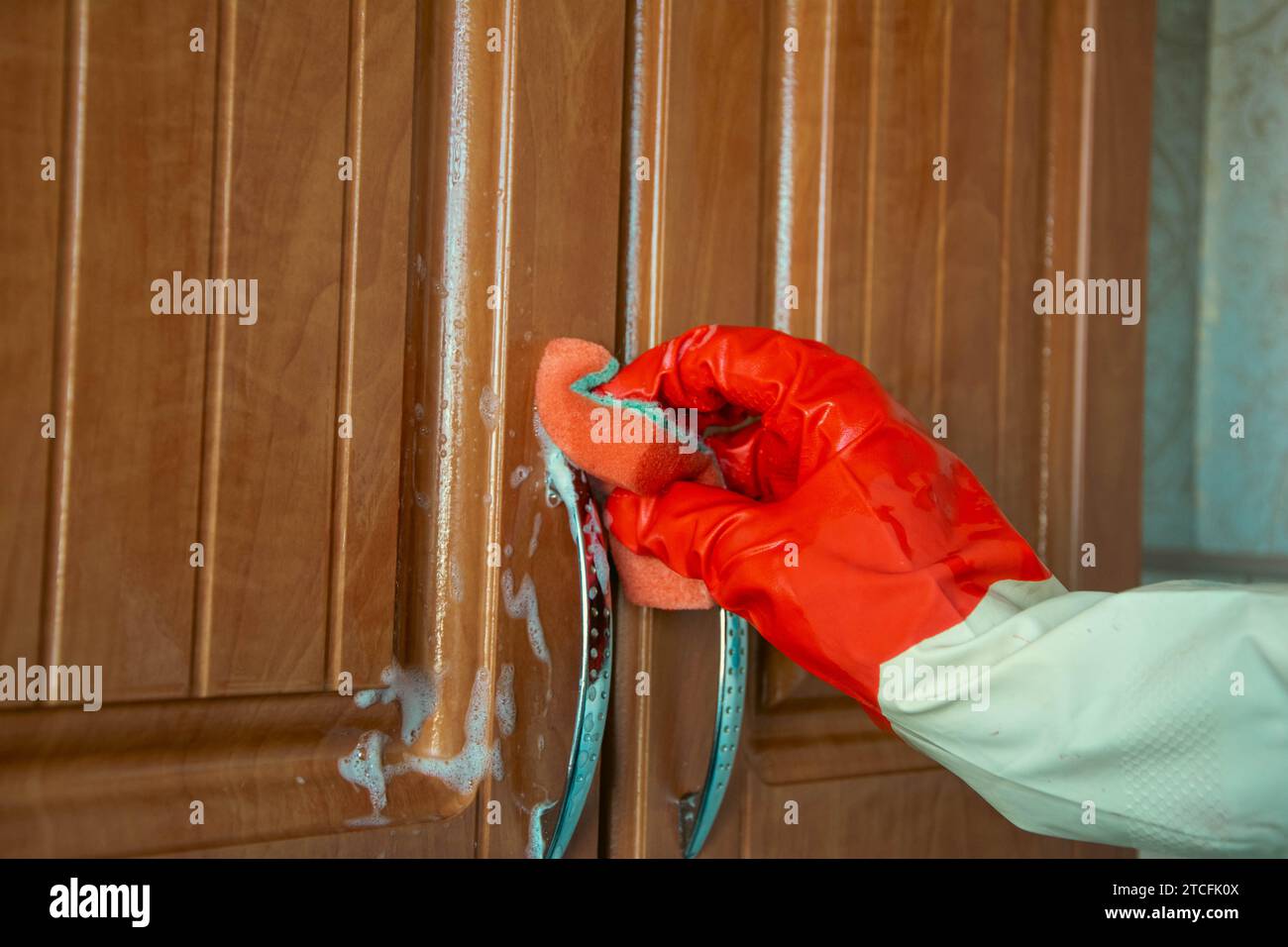 A young woman is wearing rubber gloves and using a yellow sponge to clean a kitchen cabinet with detergent spray. She is focused and determined to mak Stock Photo