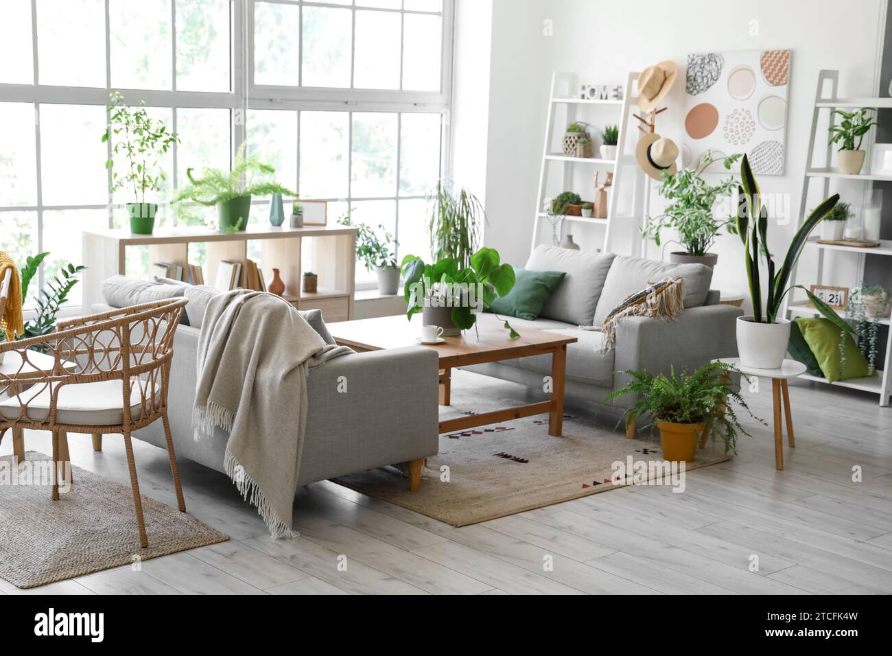 Interior of modern living room with grey sofas houseplants Stock Photo ...