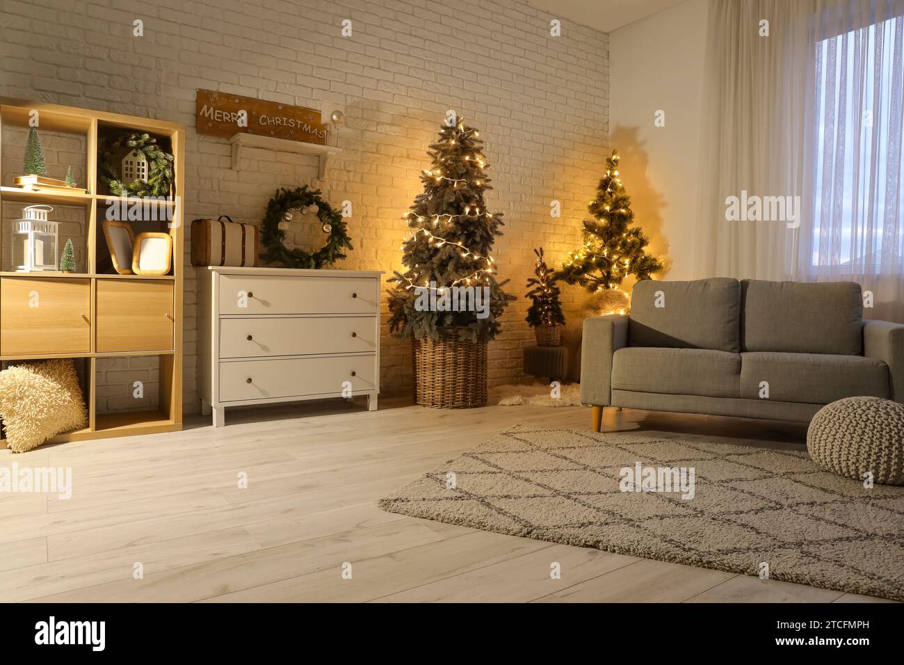 Interior of festive living room with grey sofa, Christmas trees and ...