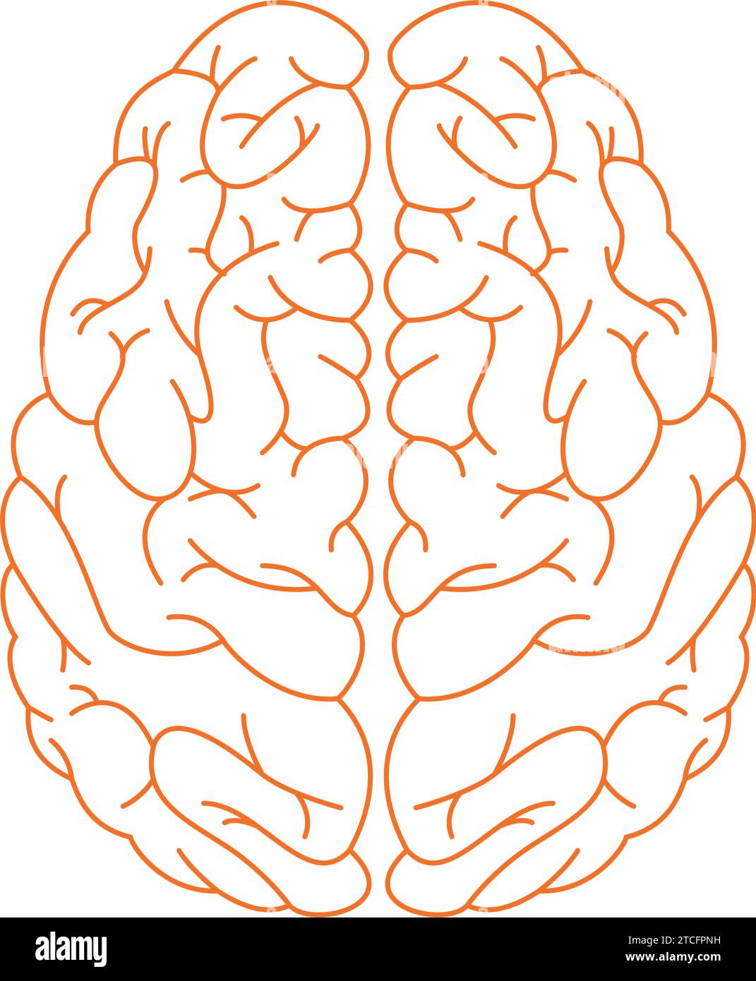 Isolated outline of a brain icon Vector Stock Vector Image & Art - Alamy