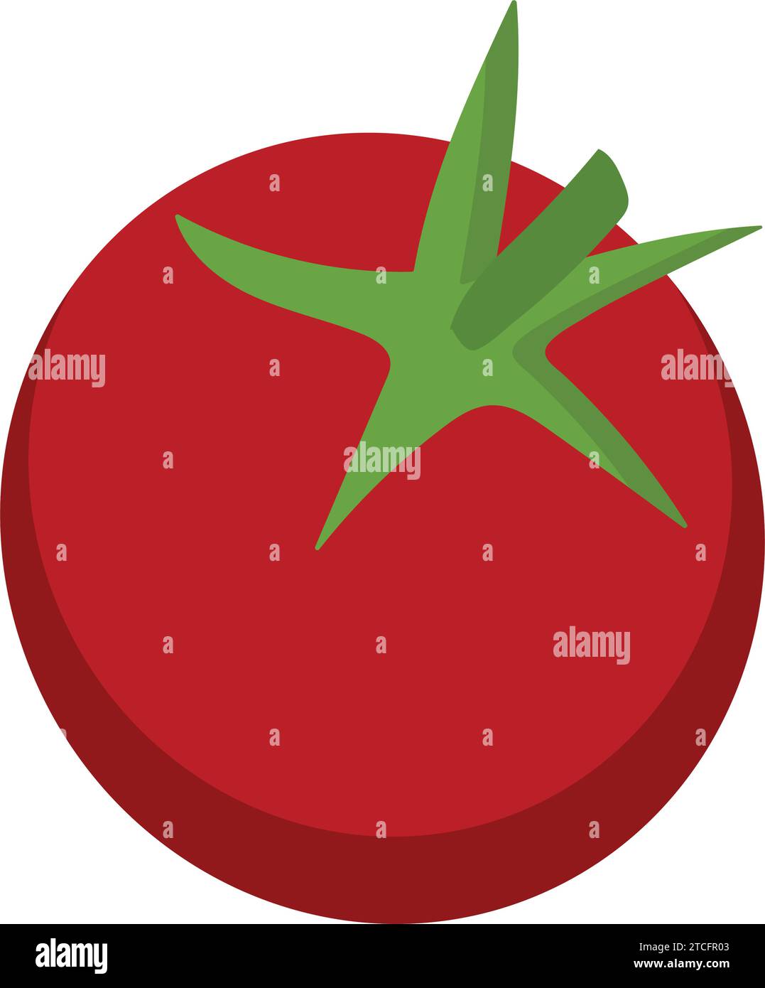 Isolated colored tomato icon Flat design Vector Stock Vector Image ...