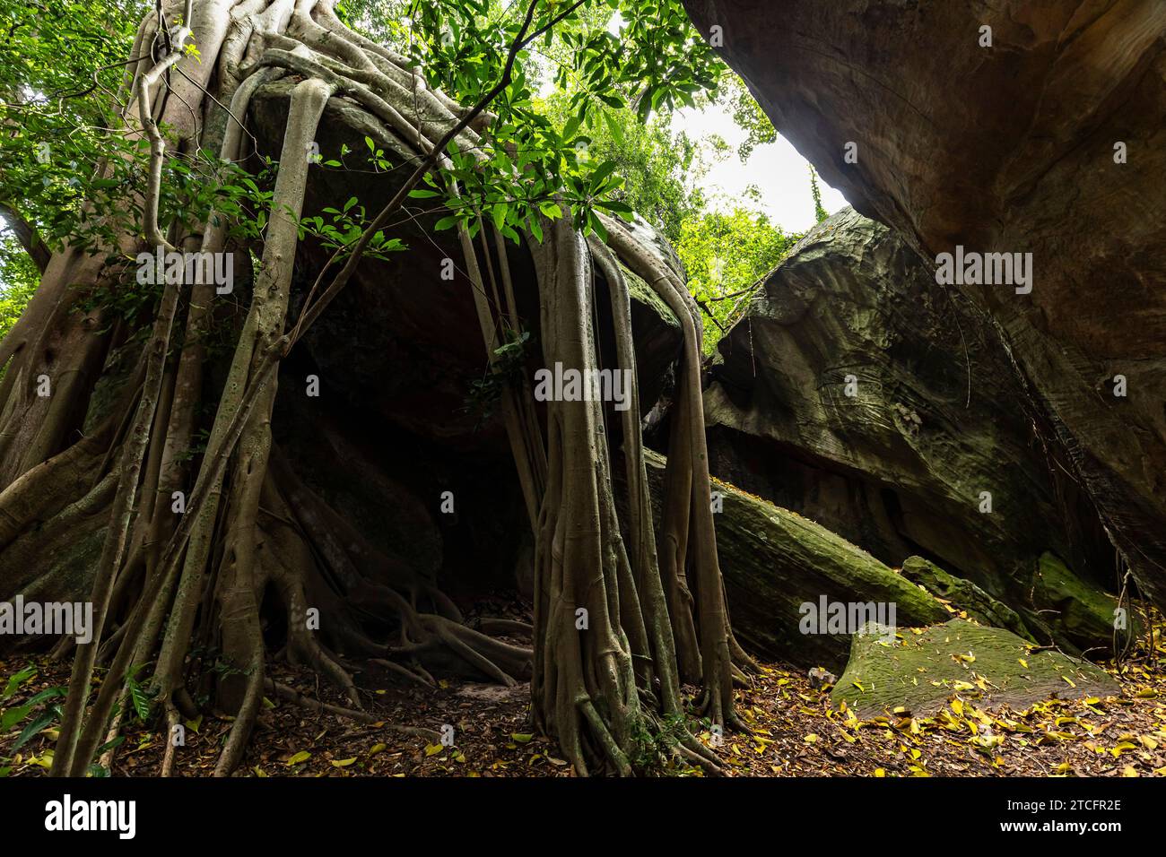 Wat Khao Chan Ngam, Boulders and tour passage at rock garden, Prehistoric rock paintings site, Nakhon Ratchasima, Isan, Thailand, Southeast Asia, Asia Stock Photo