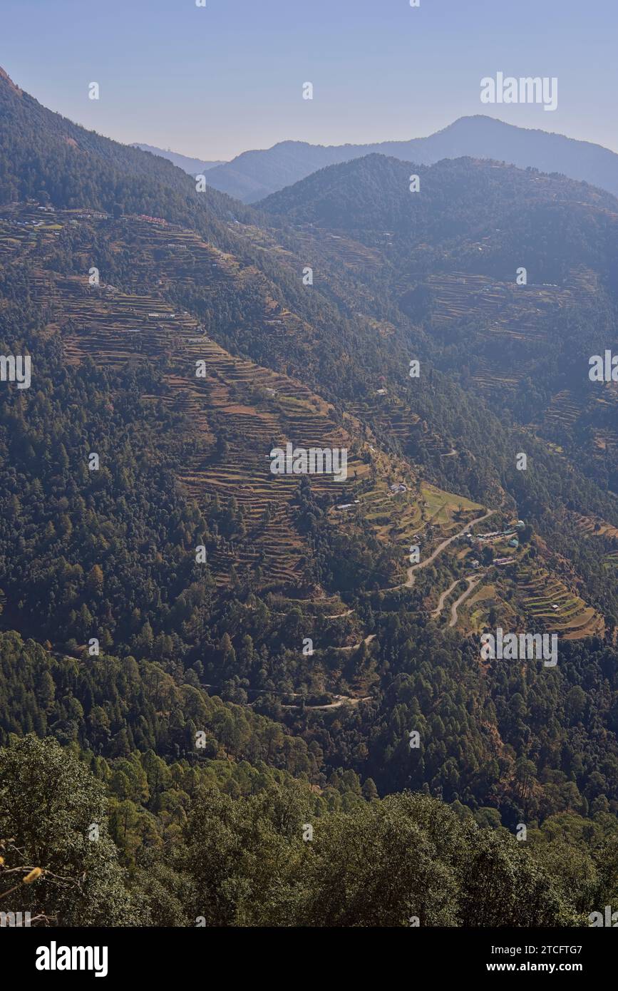 The terraced foothills of the Himalayas near Nainital, Uttarakhand, India. Stock Photo