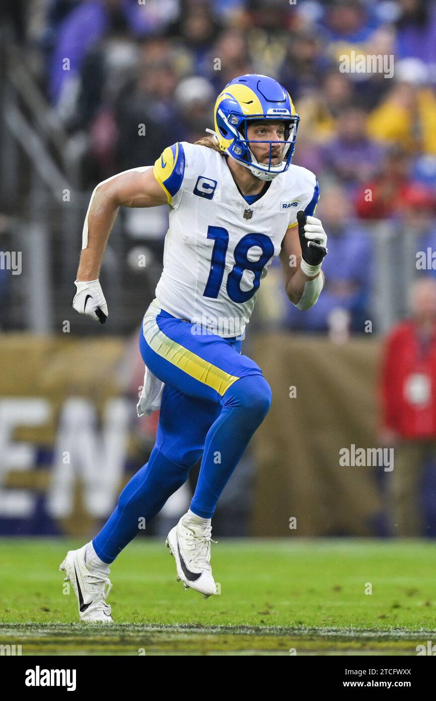 Los Angeles Rams wide receiver Ben Skowronek (18) in action during the ...