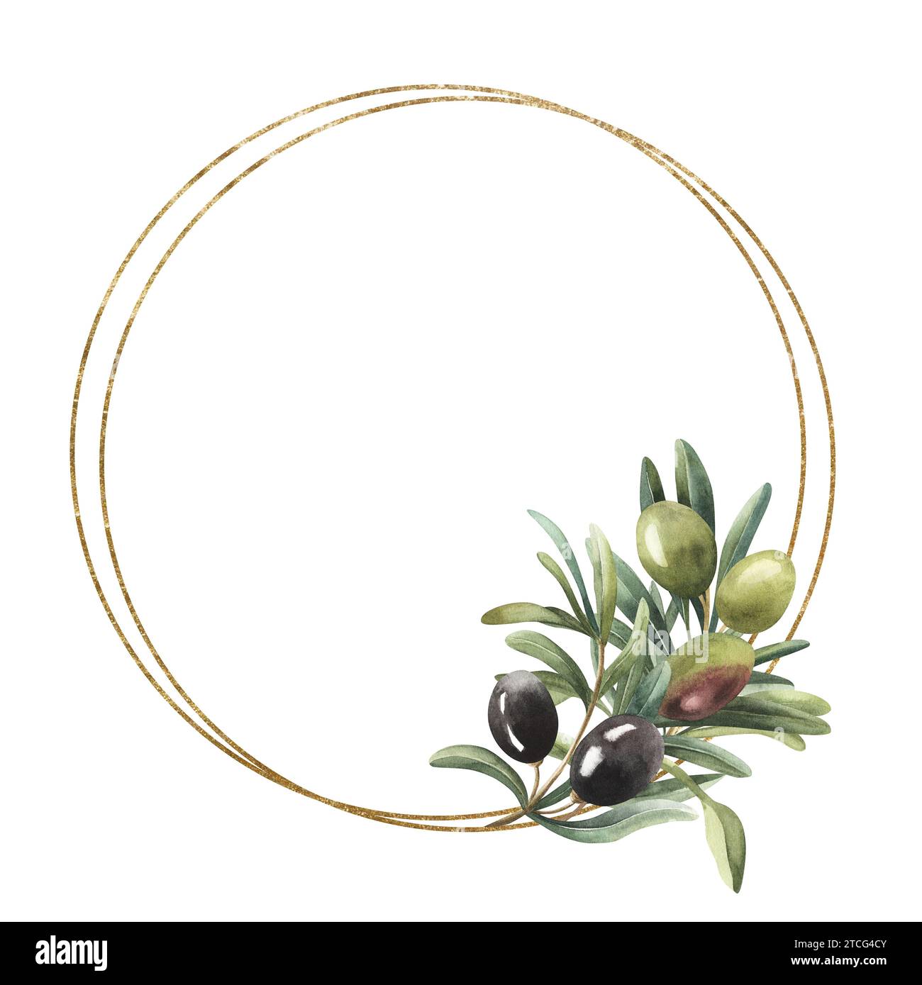 Watercolor hand painted nature circle frame with black and green olive ...