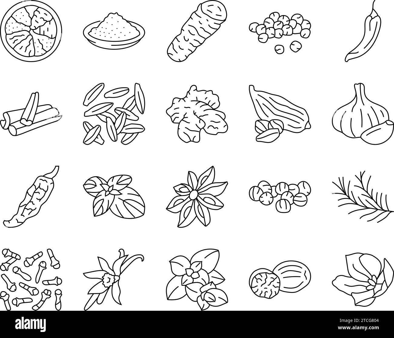 spice food herb leaf icons set vector Stock Vector