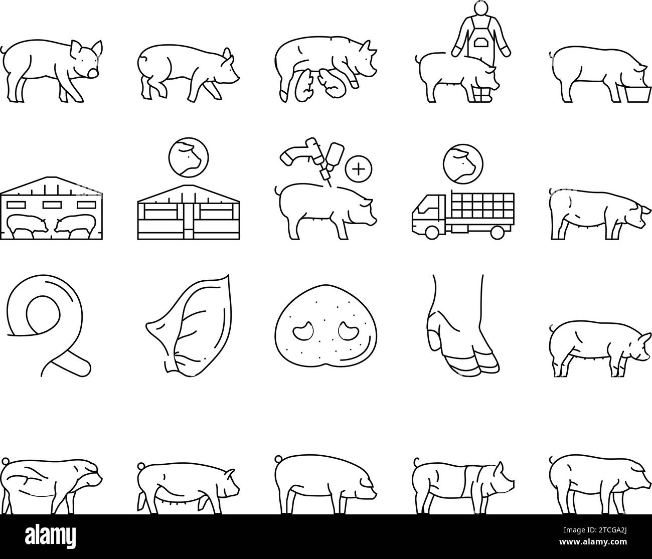 pork pig farm animal piglet hog icons set vector Stock Vector Image ...