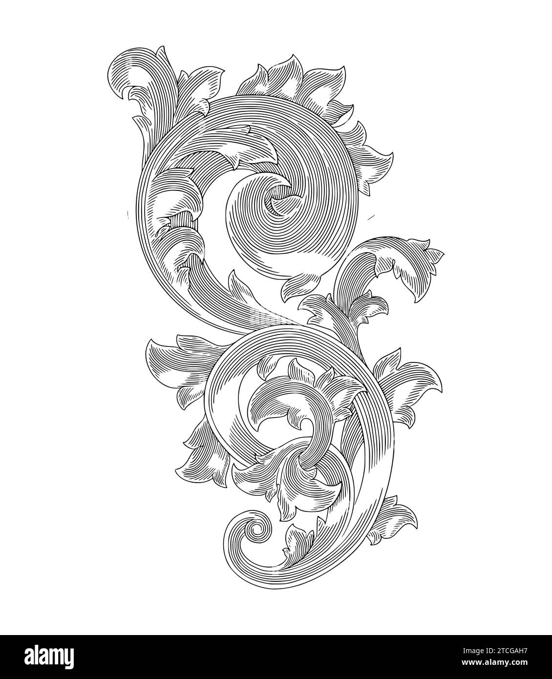 Vintage Baroque Floral ornament frame scroll engraving design illustration Stock Vector