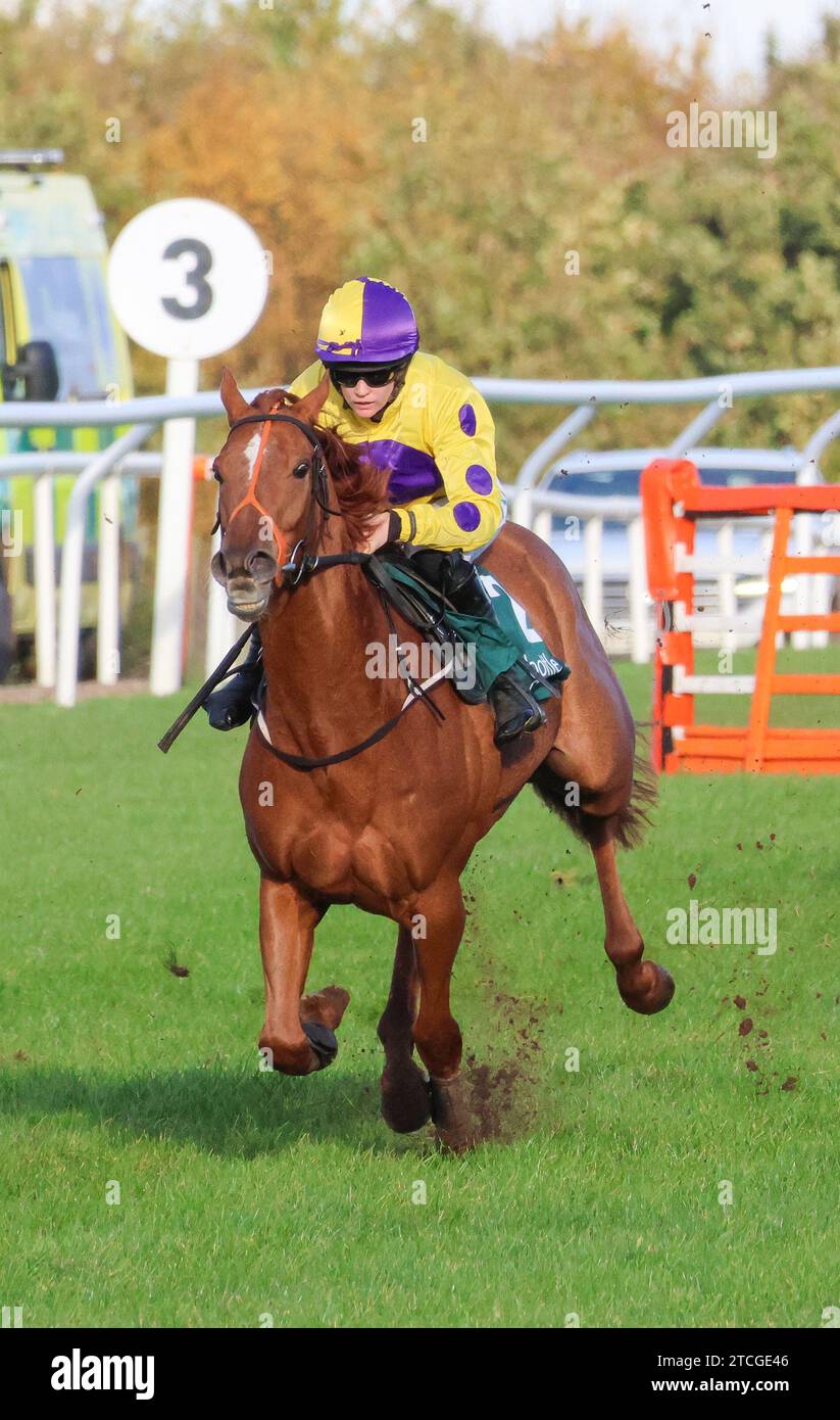 Down Royal Racecourse, Lisburn, Northern Ireland. 10th Nov 2023. The Ladbrokes Festival of Racing (Day 1) - the BOTTLEGREEN HURDLE (GRADE 3). Racehorse Sir Allen (2) ridden by jockey Rachael Blackmore. Stock Photo