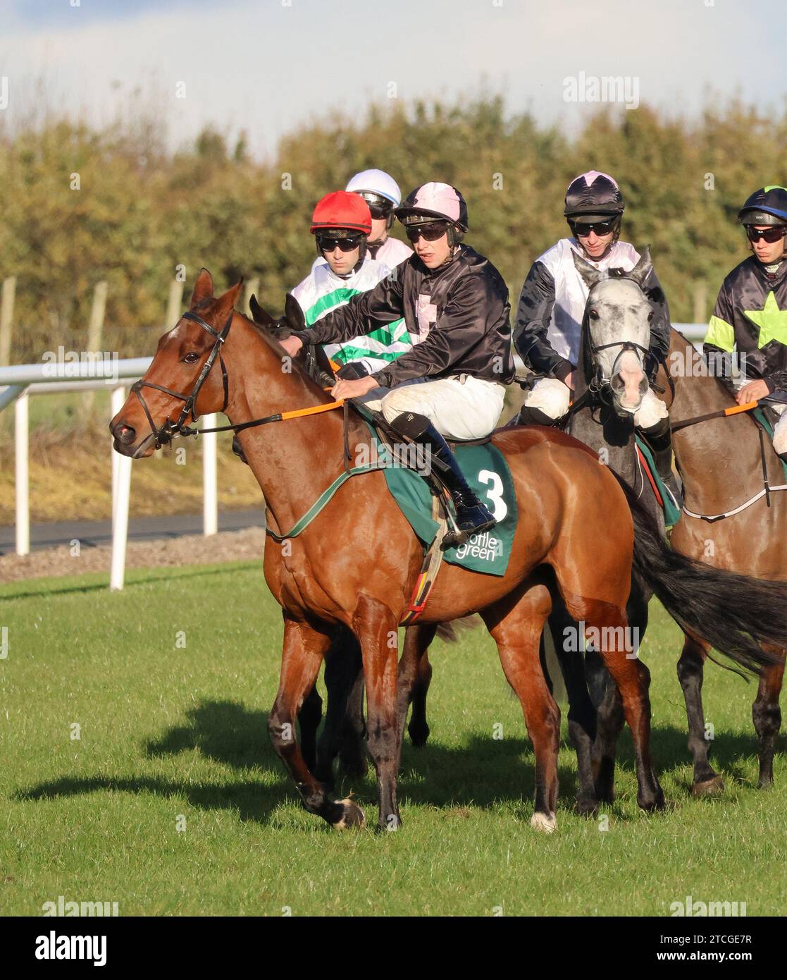 Down Royal Racecourse, Lisburn, Northern Ireland. 10th Nov 2023. The Ladbrokes Festival of Racing (Day 1) - the BOTTLEGREEN HURDLE (GRADE 3). Racehorse I Don't Get It (3) ridden by jockey Neill McCluskey. Stock Photo