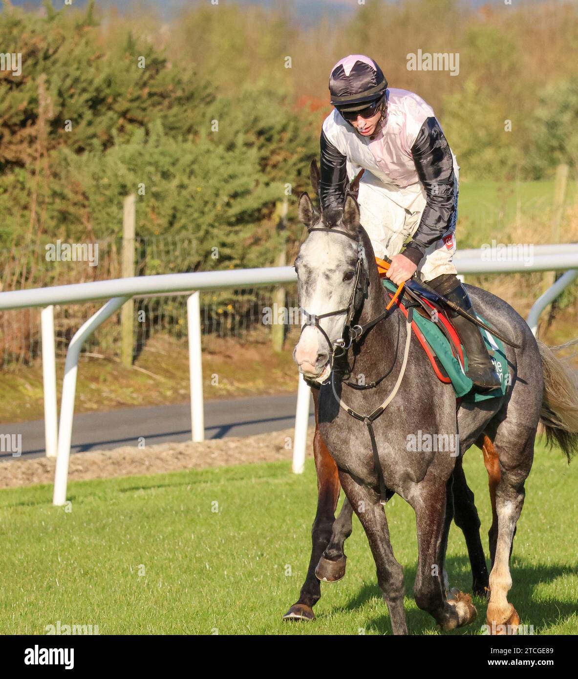 Down Royal Racecourse, Lisburn, Northern Ireland. 10th Nov 2023. The Ladbrokes Festival of Racing (Day 1) - the BOTTLEGREEN HURDLE (GRADE 3). Racehorse Irish Point (1) ridden by jockey Jack Kennedy. Stock Photo