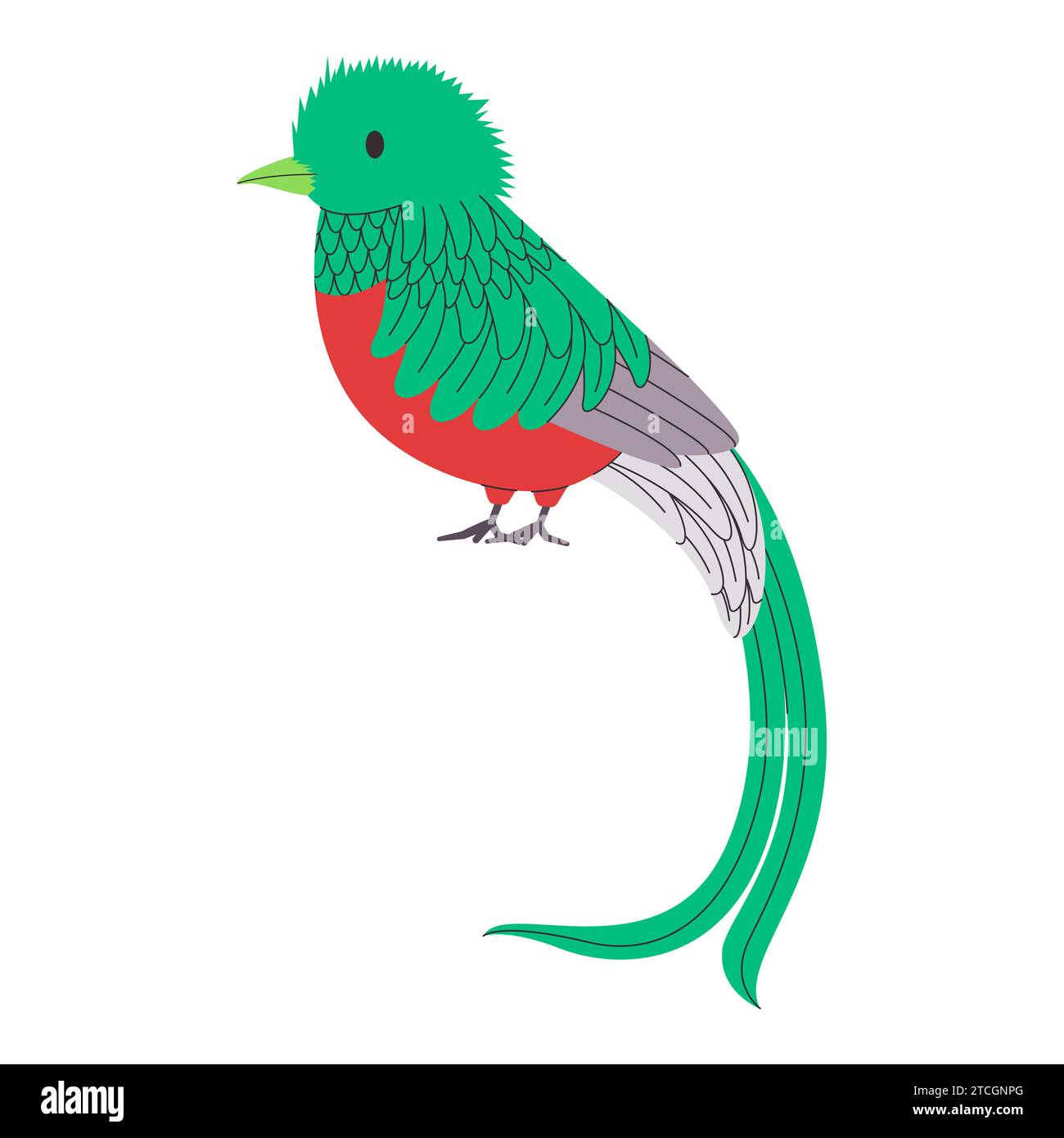 green and red color small bird resplendent quetzal species with long