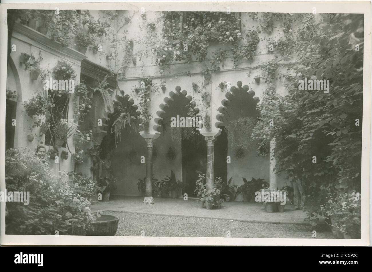 Córdoba, May 1960. This beautiful patio on Manrique Street, which won a first prize. Credit: Album / Archivo ABC / LADIS Ladislao Rodríguez Stock Photo