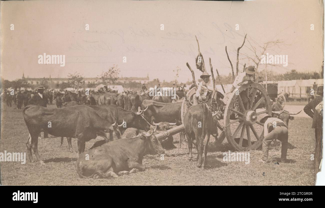 Seville, April 1929. The cattle rodeo at the Seville fair. Credit: Album / Archivo ABC Stock Photo