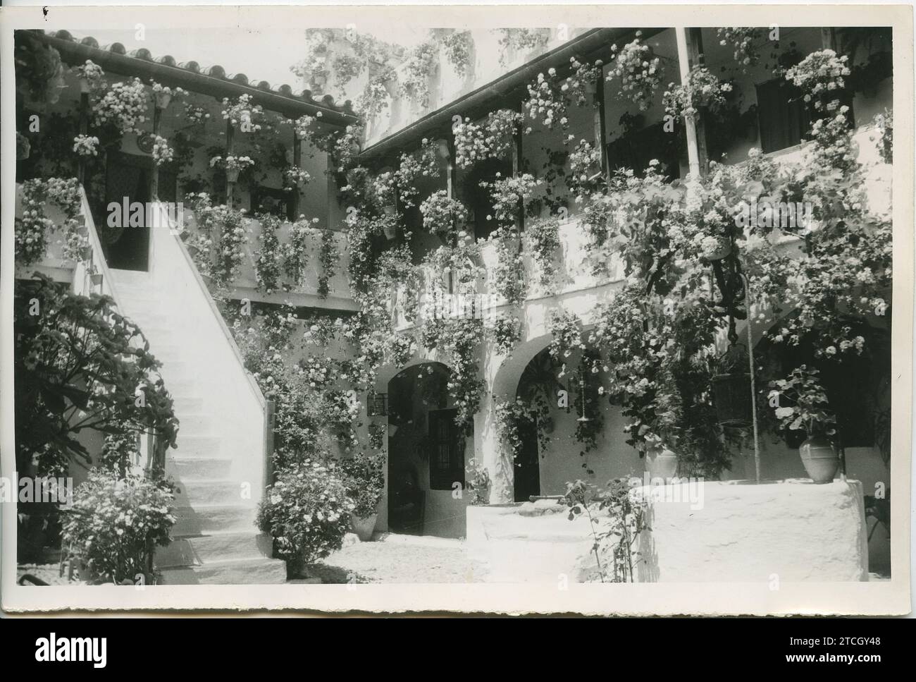 Córdoba, May 1960. The patio at 50 San Basilio Street, to which the competition jury awarded an honorary prize. Credit: Album / Archivo ABC / LADIS Ladislao Rodríguez Stock Photo