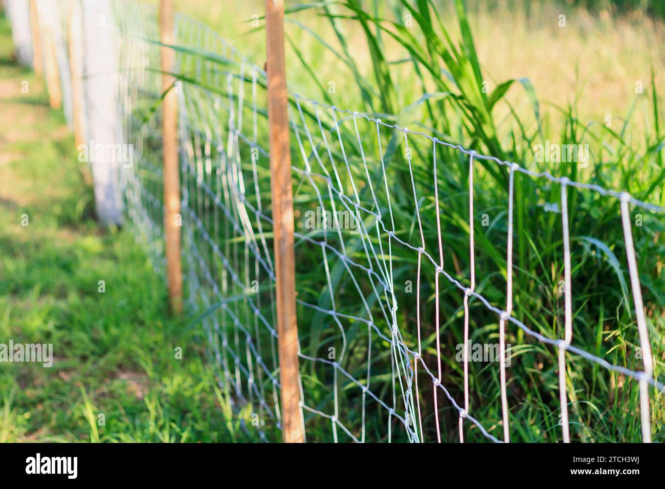 Metal fence wire and green grass Stock Photo - Alamy
