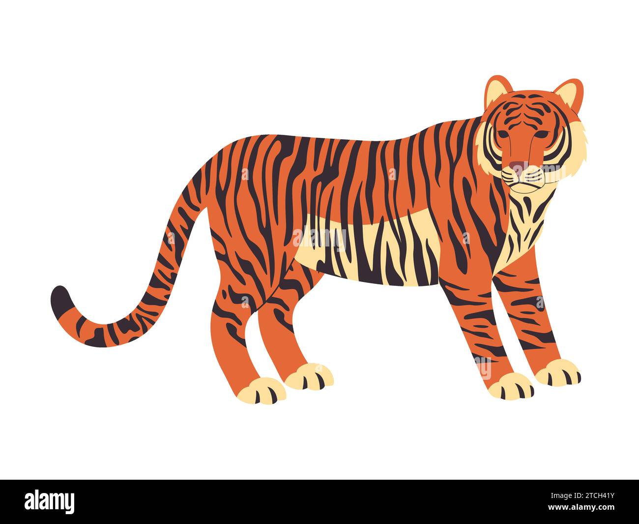 orange color stiped tiger wild nature animal hunter predator carnivore mammal danger big cat Stock Vector