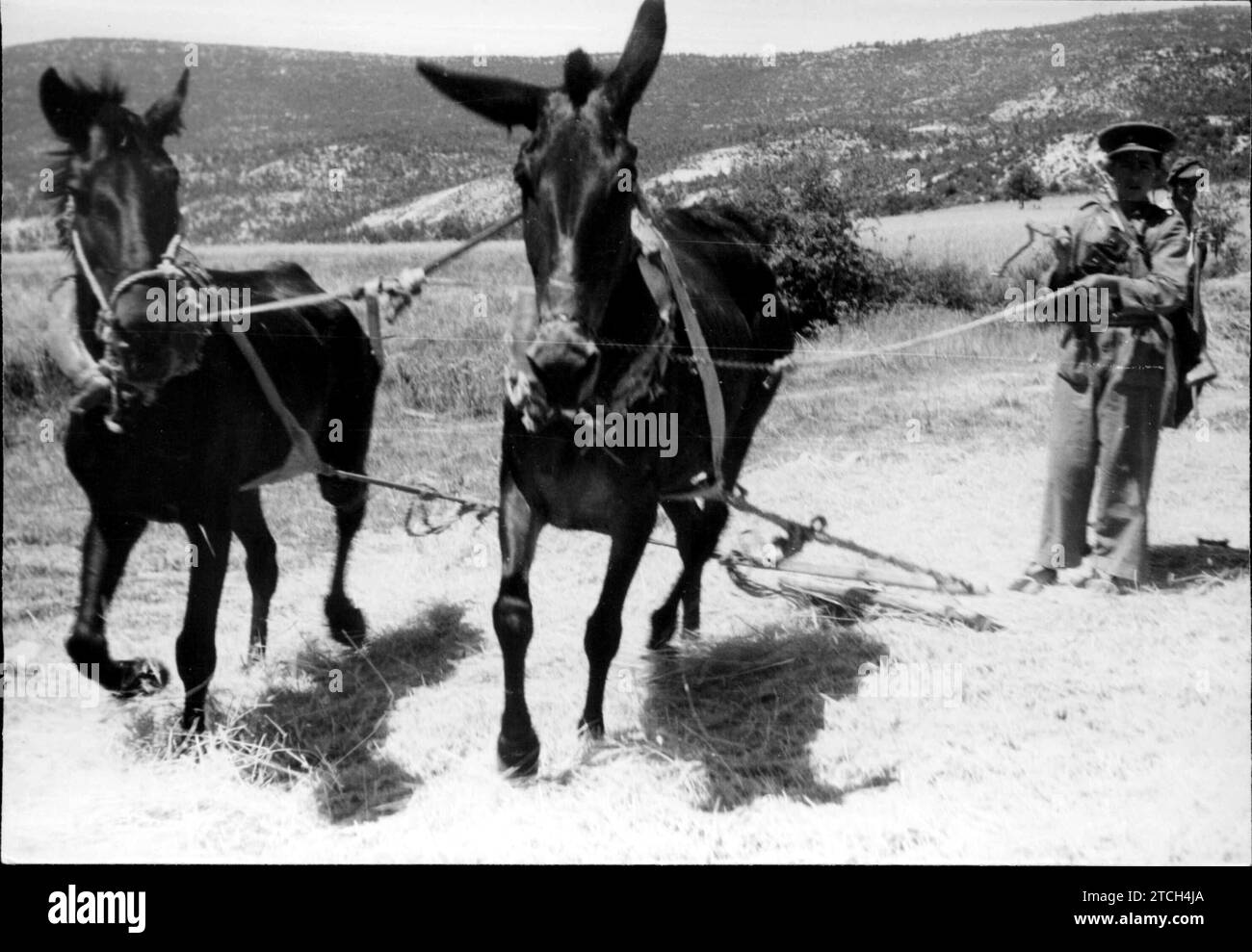 Military obligations hires stock photography and images Alamy