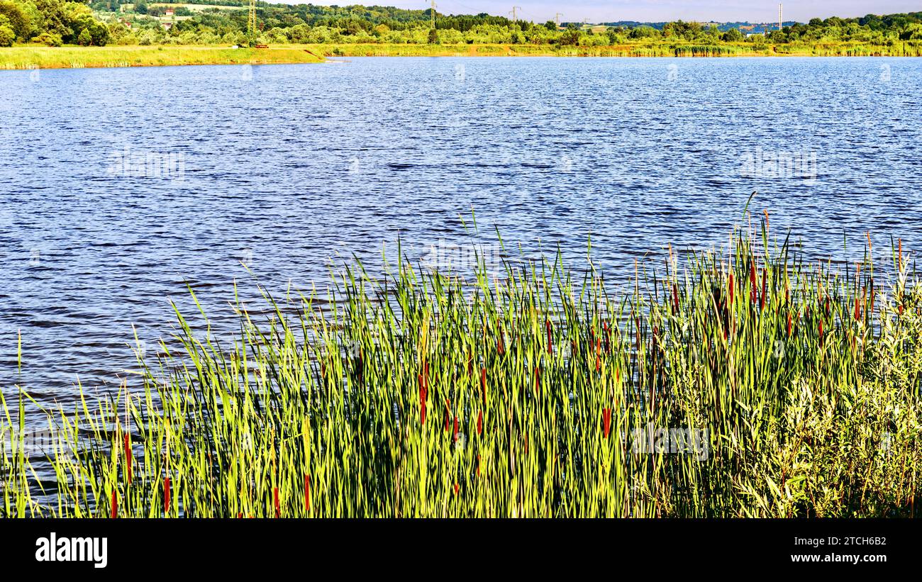 Landscape lake shore fishing hi-res stock photography and images - Alamy