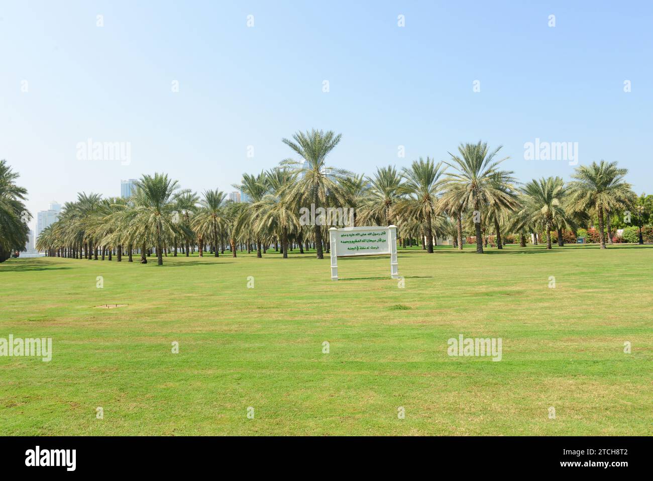 Al Nakheel Oasis along the corniche in Sharjah, UAE. Stock Photo