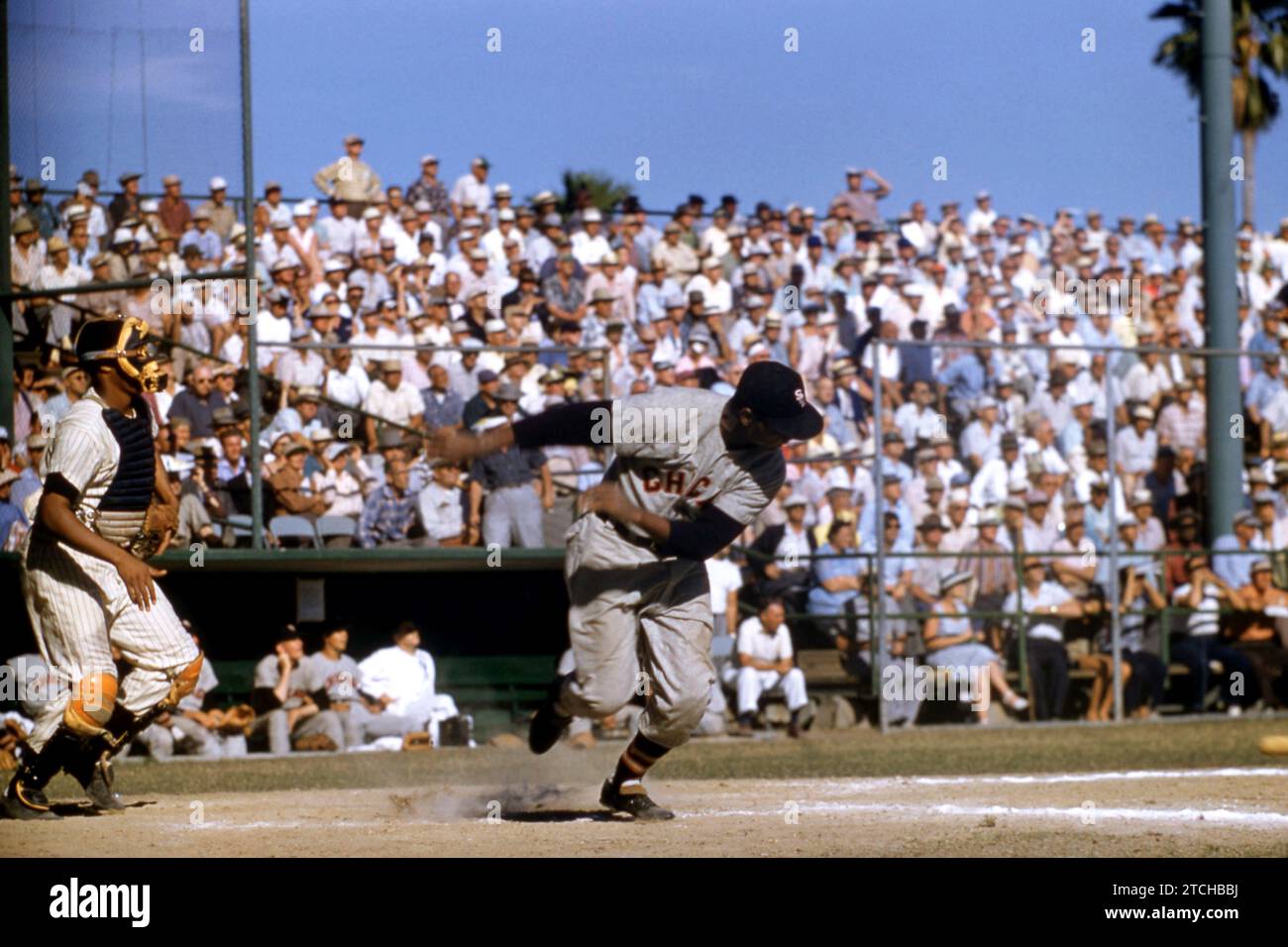 ST. PETERSBURG, FL - MARCH 12: Larry Doby #14 of the Chicago White Sox ...