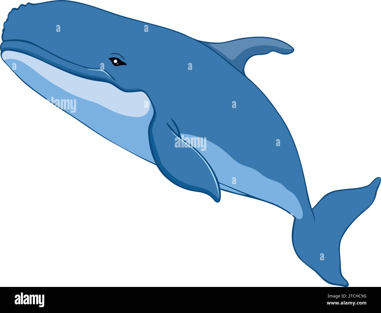 humpback sealife isolated Stock Vector Image & Art - Alamy
