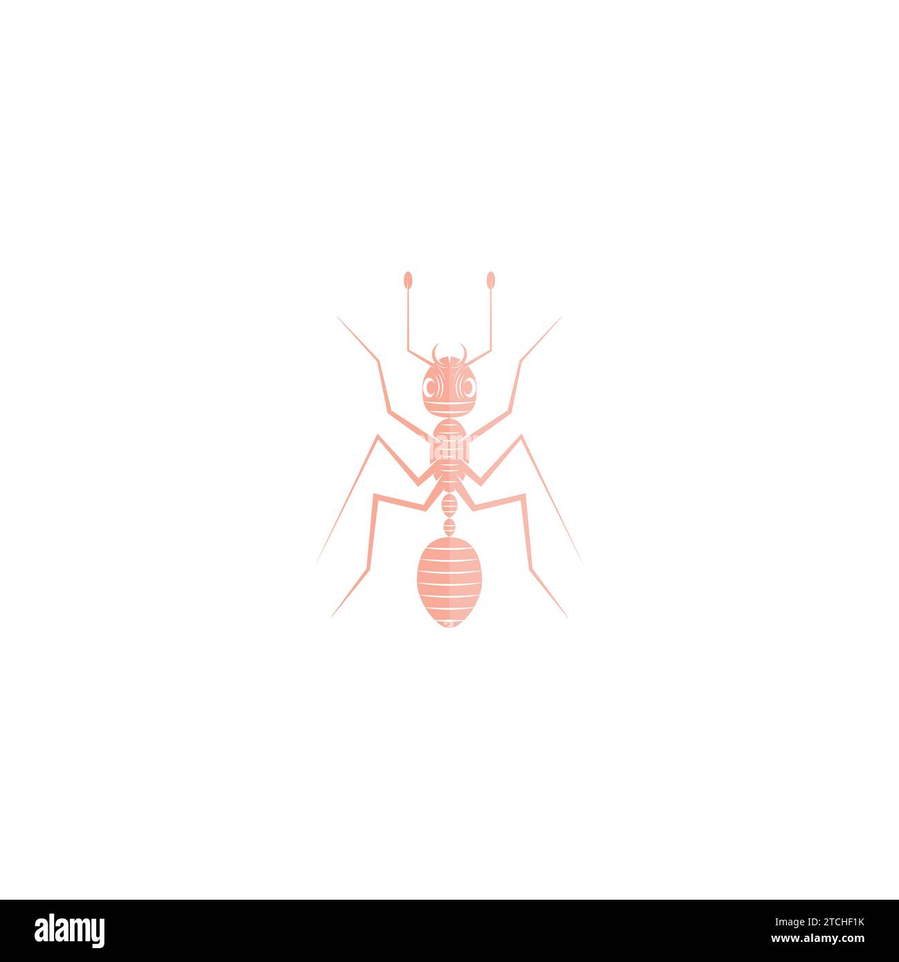 Ant Logo vector illustration template design Stock Vector Image & Art ...