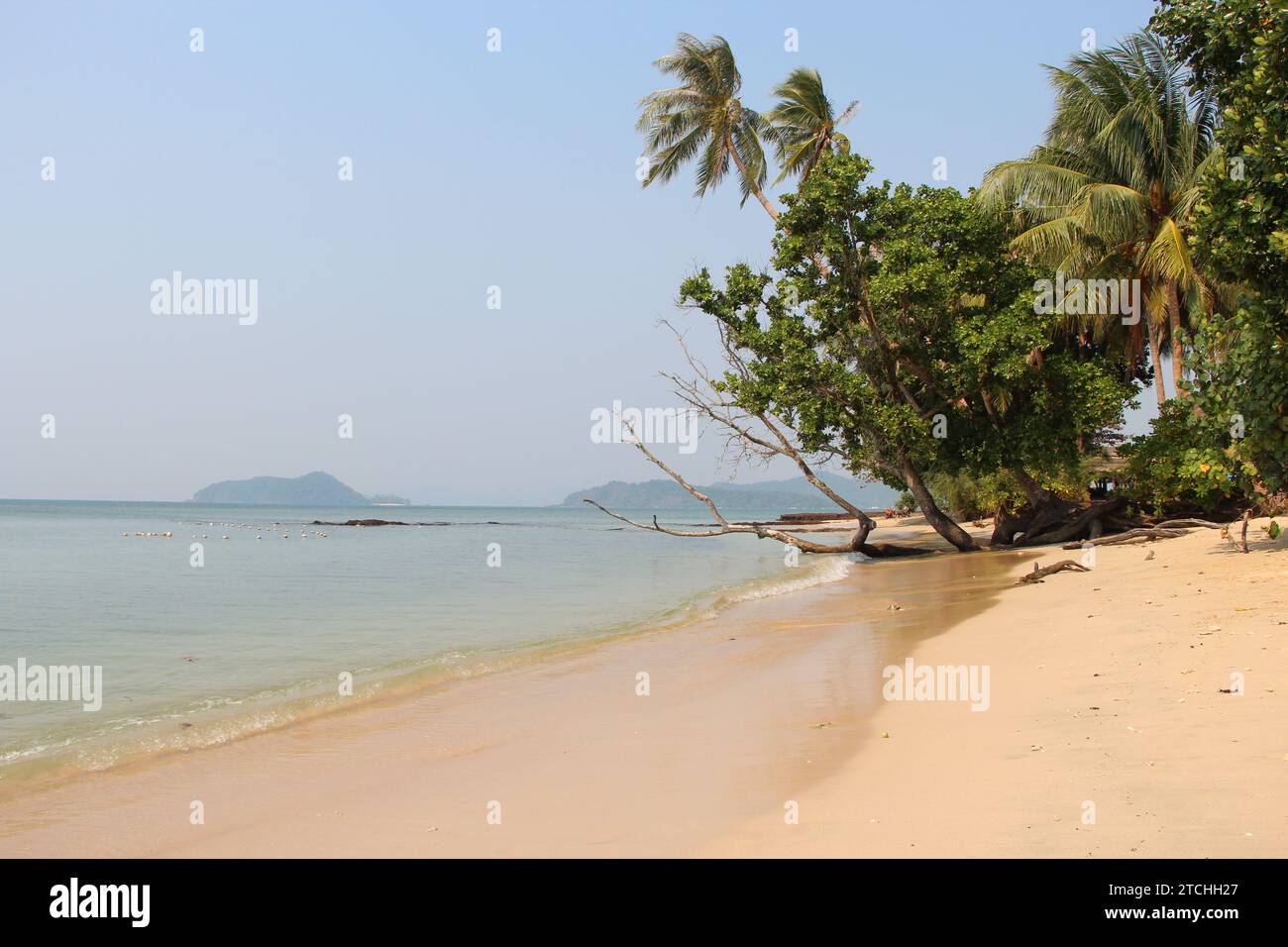 A stunning view of a sandy beach with a beautiful tree-lined shoreline. Stock Photo