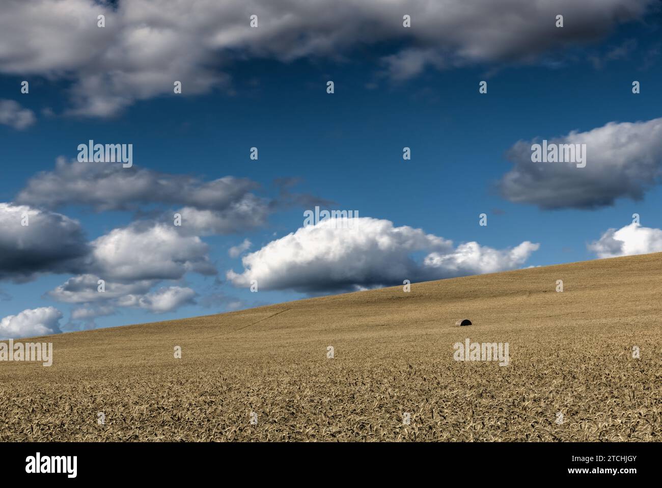 Lost grain hi-res stock photography and images - Alamy